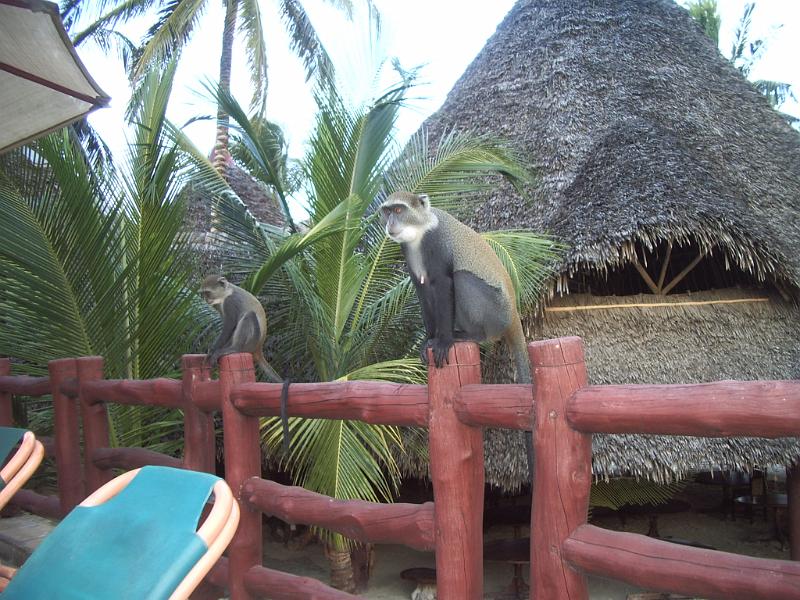 20100825_IMG_717.JPG